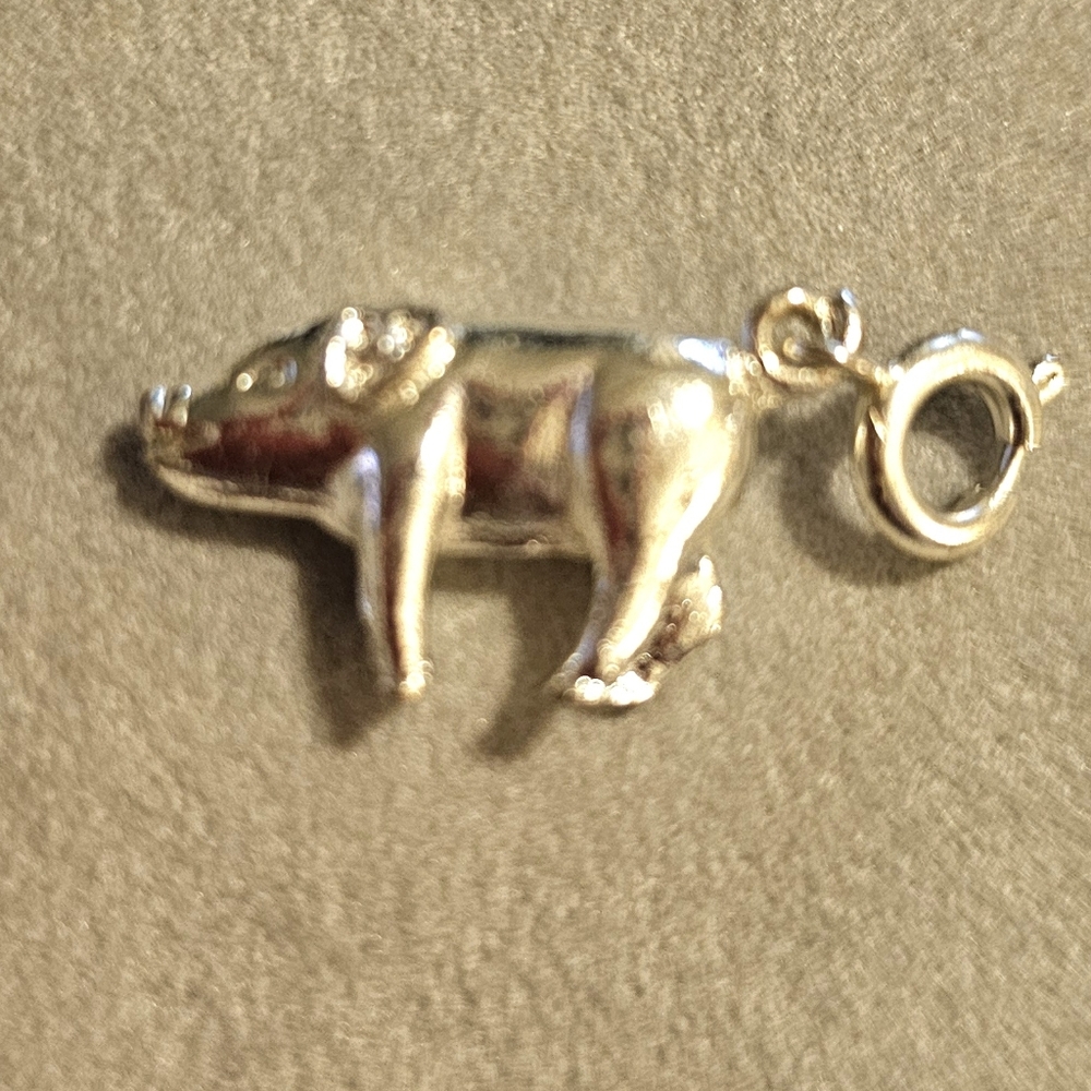 Assorted Charms Featuring Various Designs - image 8